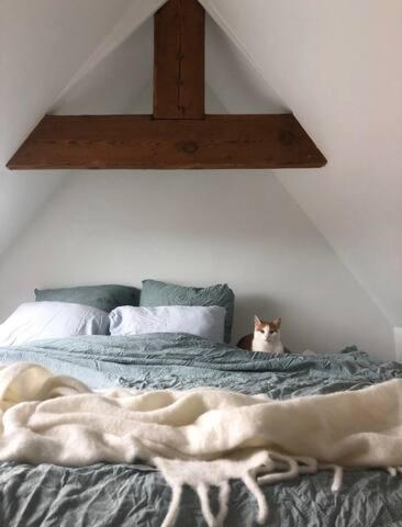 Beautiful Cosy Apartments In The Heart Of אנטוורפן מראה חיצוני תמונה